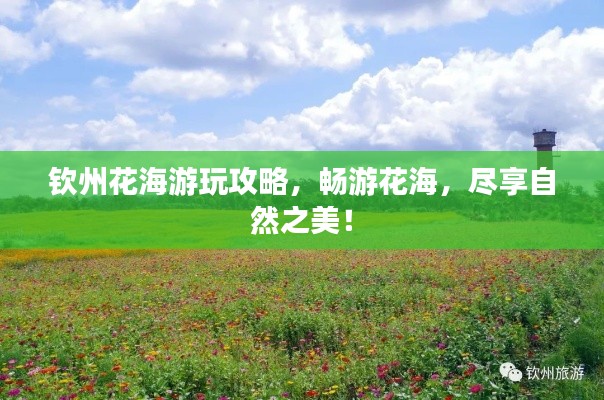 鸟骇鼠窜 第2页