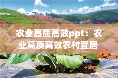农业高质高效ppt：农业高质高效农村宜居 