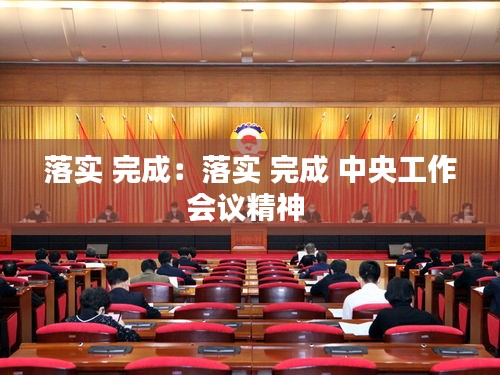 落实 完成：落实 完成 中央工作会议精神 