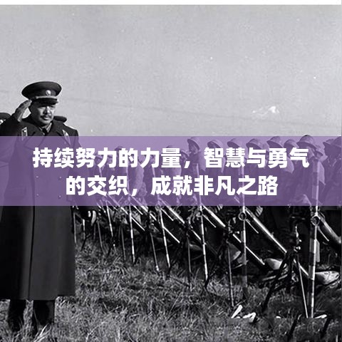 持续努力的力量，智慧与勇气的交织，成就非凡之路