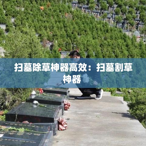 威风凛凛 第2页