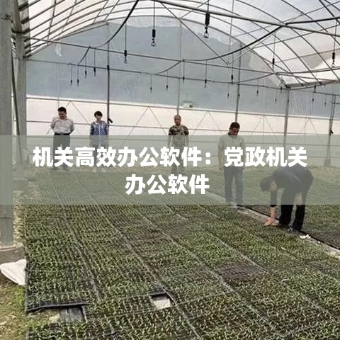机关高效办公软件：党政机关办公软件 