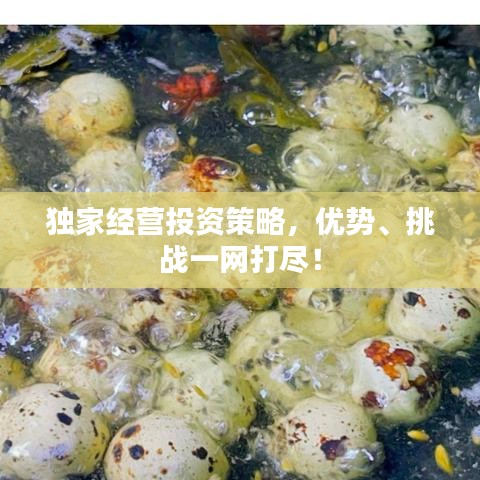 独家经营投资策略，优势、挑战一网打尽！