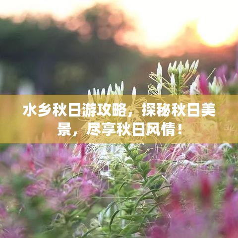 水乡秋日游攻略，探秘秋日美景，尽享秋日风情！