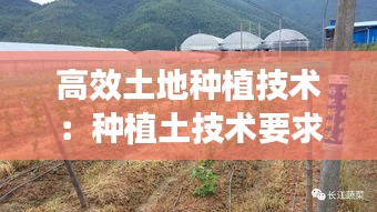 高效土地种植技术：种植土技术要求 