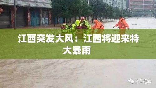 江西突发大风：江西将迎来特大暴雨 
