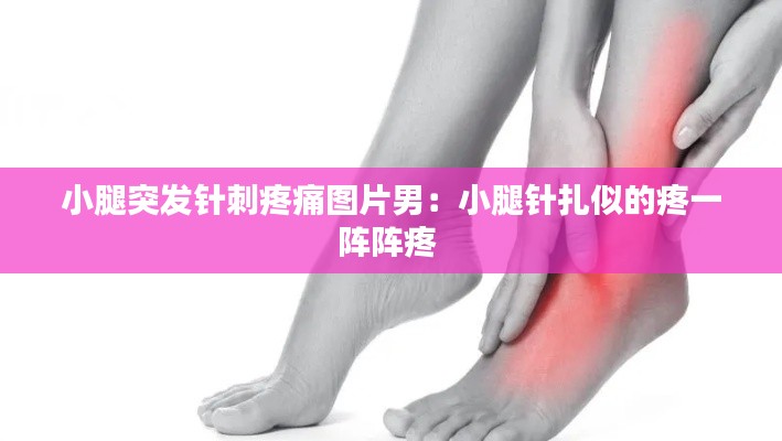 小腿突发针刺疼痛图片男：小腿针扎似的疼一阵阵疼 