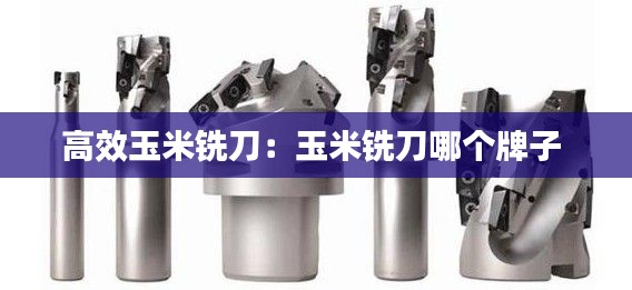 差强人意 第2页