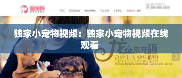 张弛不定 第2页