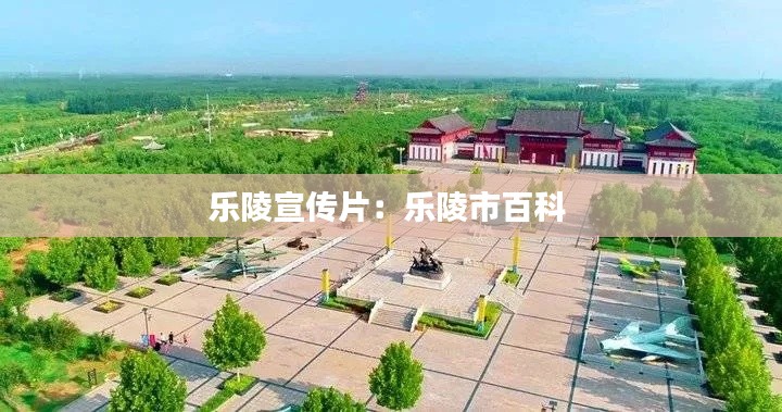 乐陵宣传片：乐陵市百科 