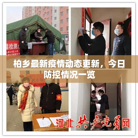 柏乡最新疫情动态更新，今日防控情况一览