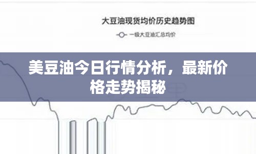 美豆油今日行情分析，最新价格走势揭秘