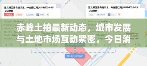 赤峰土拍最新动态，城市发展与土地市场互动紧密，今日消息一览