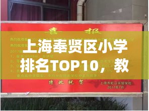 上海奉贤区小学排名TOP10，教育卓越铸就社区骄傲