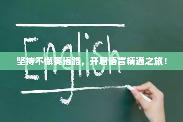 坚持不懈英语路，开启语言精通之旅！