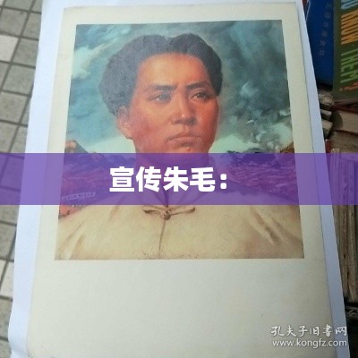宣传朱毛： 
