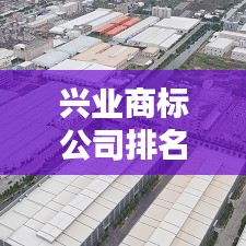 兴业商标公司排名揭晓，行业影响力不容小觑