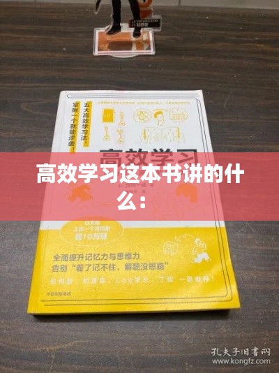 高效学习这本书讲的什么： 