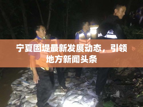 宁夏固堤最新发展动态，引领地方新闻头条