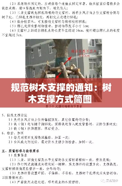 规范树木支撑的通知：树木支撑方式简图 