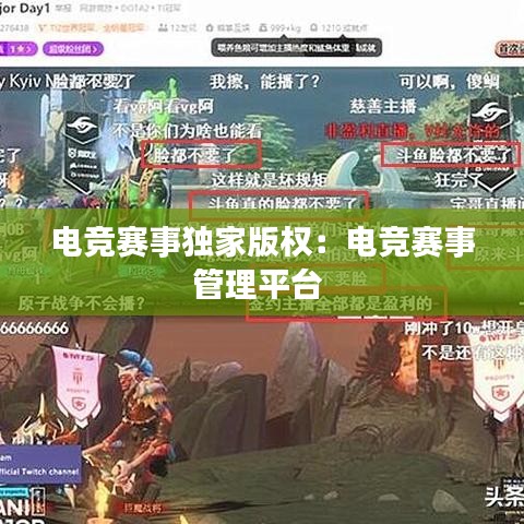 电竞赛事独家版权：电竞赛事管理平台 