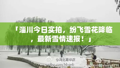 「淄川今日实拍，纷飞雪花降临，最新雪情速报！」