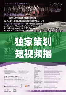 倦鸟知还 第2页