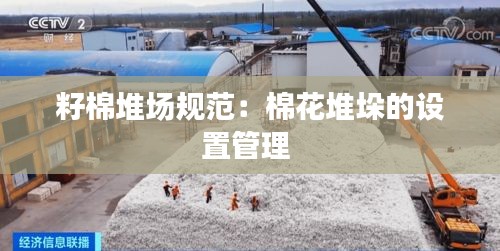 三心二意 第2页