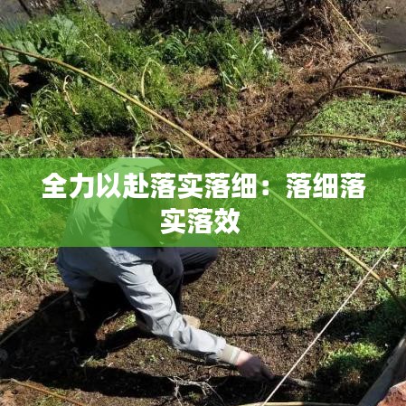 全力以赴落实落细：落细落实落效 