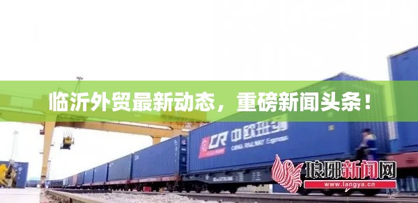 临沂外贸最新动态，重磅新闻头条！