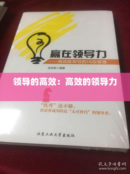 领导的高效：高效的领导力 