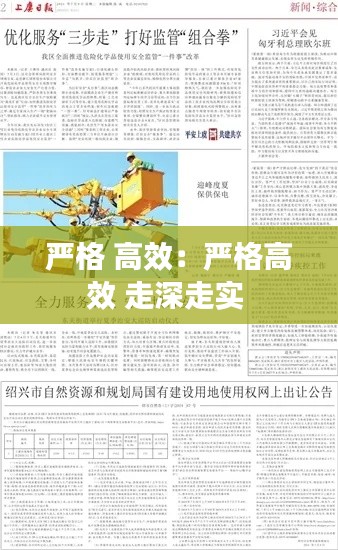 严格 高效：严格高效 走深走实 