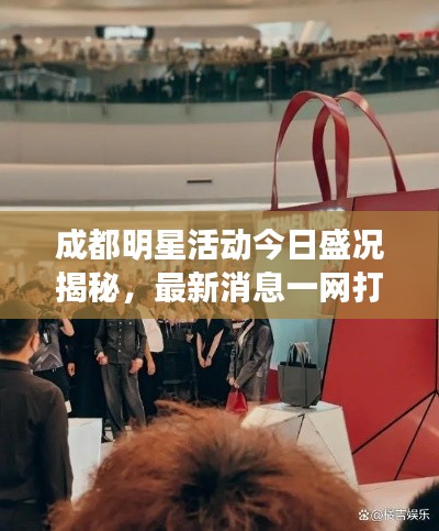 成都明星活动今日盛况揭秘，最新消息一网打尽