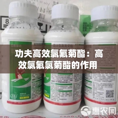 有气无力 第2页