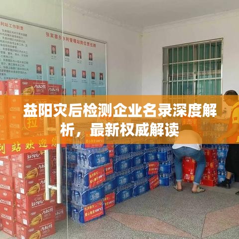 益阳灾后检测企业名录深度解析，最新权威解读