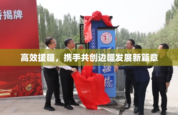 高效援疆，携手共创边疆发展新篇章