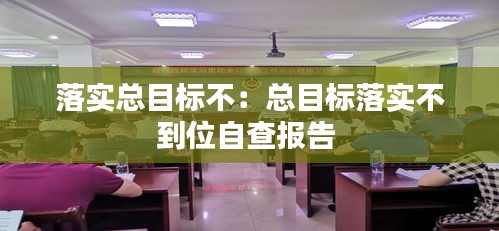 落实总目标不：总目标落实不到位自查报告 