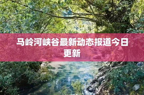 马岭河峡谷最新动态报道今日更新