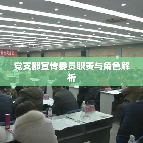 党支部宣传委员职责与角色解析