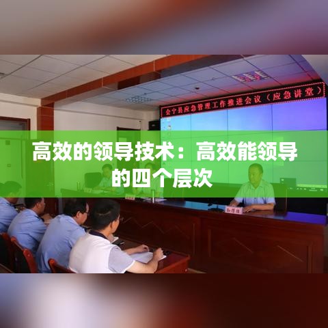 高效的领导技术：高效能领导的四个层次 