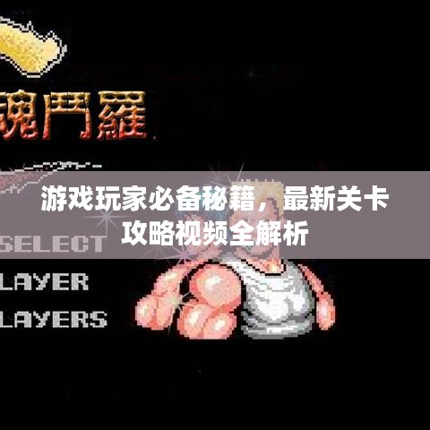 游戏玩家必备秘籍，最新关卡攻略视频全解析