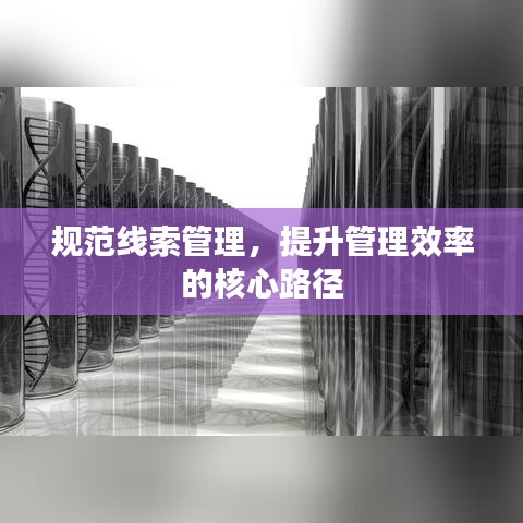 规范线索管理，提升管理效率的核心路径