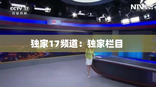 独家17频道：独家栏目 