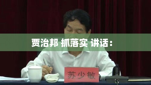 贾治邦 抓落实 讲话： 