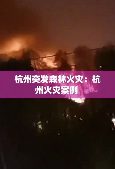 杭州突发森林火灾：杭州火灾案例 
