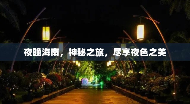 夜晚海南，神秘之旅，尽享夜色之美