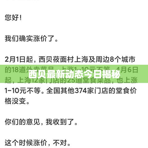 西贝最新动态今日揭秘