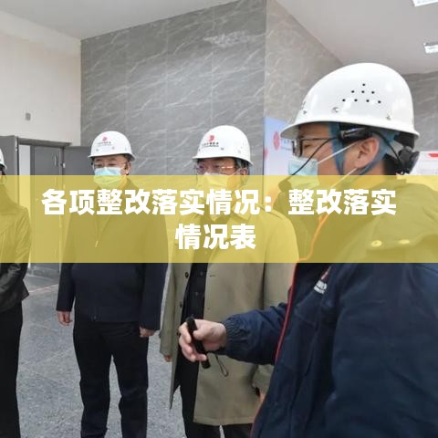 各项整改落实情况：整改落实情况表 