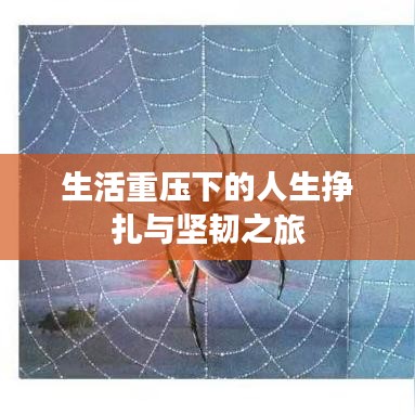生活重压下的人生挣扎与坚韧之旅