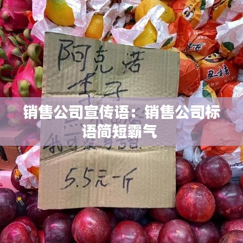 销售公司宣传语：销售公司标语简短霸气 